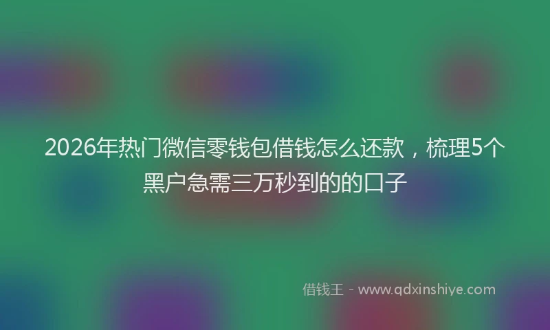 2026年热门微信零钱包借钱怎么还款，梳理5个黑户急需三万秒到的的口子