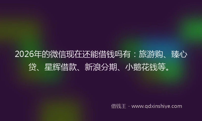 2026年的微信现在还能借钱吗有：旅游购、臻心贷、星辉借款、新浪分期、小鹅花钱等。