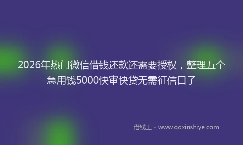 2026年热门微信借钱还款还需要授权，整理五个急用钱5000快审快贷无需征信口子