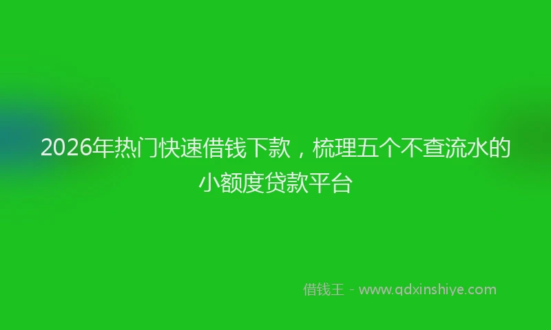 2026年热门快速借钱下款，梳理五个不查流水的小额度贷款平台