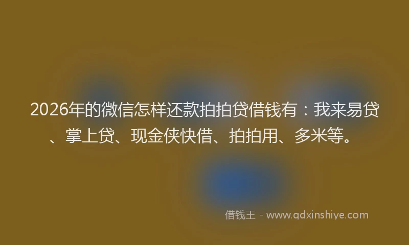 2026年的微信怎样还款拍拍贷借钱有：我来易贷、掌上贷、现金侠快借、拍拍用、多米等。