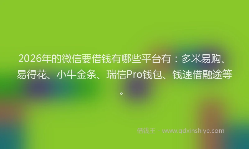 2026年的微信要借钱有哪些平台有：多米易购、易得花、小牛金条、瑞信Pro钱包、钱速借融途等。