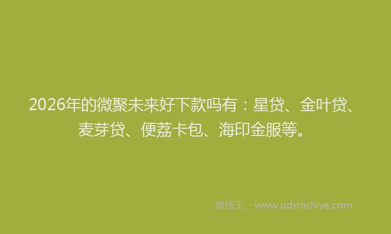 2026年的微聚未来好下款吗有：星贷、金叶贷、麦芽贷、便荔卡包、海印金服等。