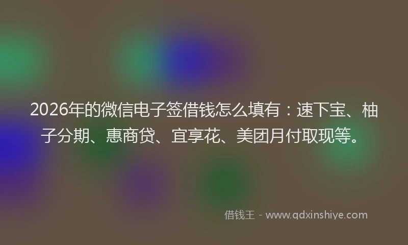 2026年的微信电子签借钱怎么填有：速下宝、柚子分期、惠商贷、宜享花、美团月付取现等。