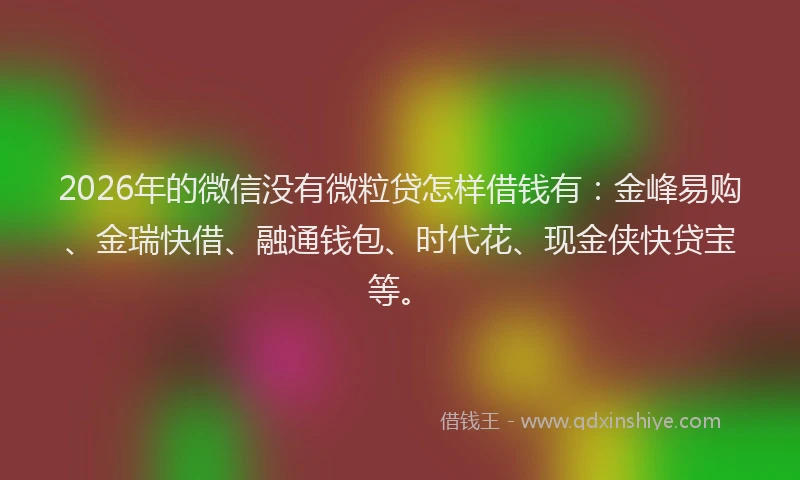 2026年的微信没有微粒贷怎样借钱有：金峰易购、金瑞快借、融通钱包、时代花、现金侠快贷宝等。
