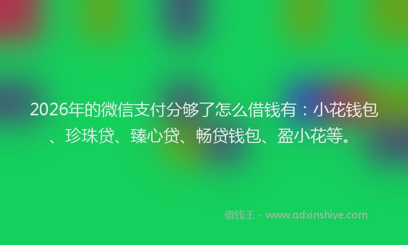 2026年的微信支付分够了怎么借钱有：小花钱包、珍珠贷、臻心贷、畅贷钱包、盈小花等。