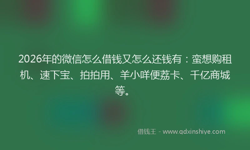 2026年的微信怎么借钱又怎么还钱有：蛮想购租机、速下宝、拍拍用、羊小咩便荔卡、千亿商城等。