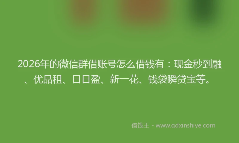 2026年的微信群借账号怎么借钱有：现金秒到融、优品租、日日盈、新一花、钱袋瞬贷宝等。