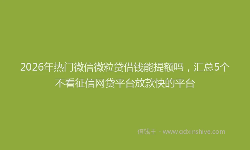 2026年热门微信微粒贷借钱能提额吗，汇总5个不看征信网贷平台放款快的平台