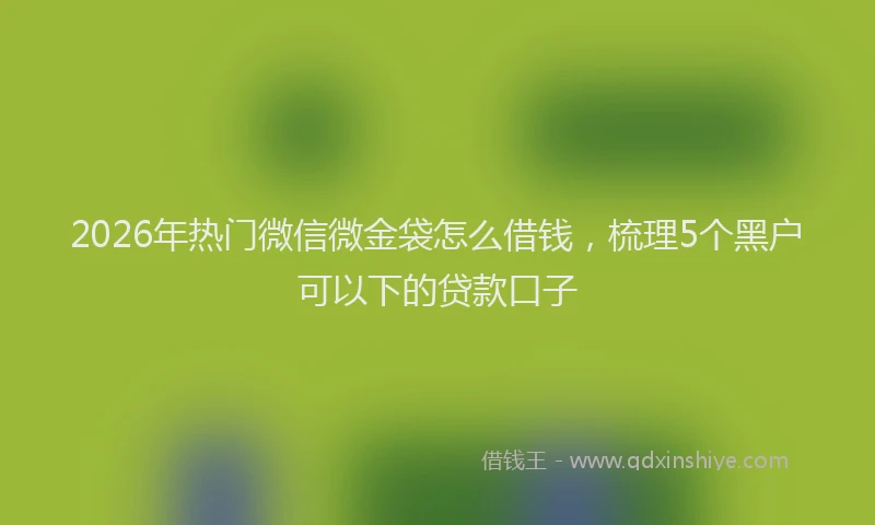 2026年热门微信微金袋怎么借钱，梳理5个黑户可以下的贷款口子