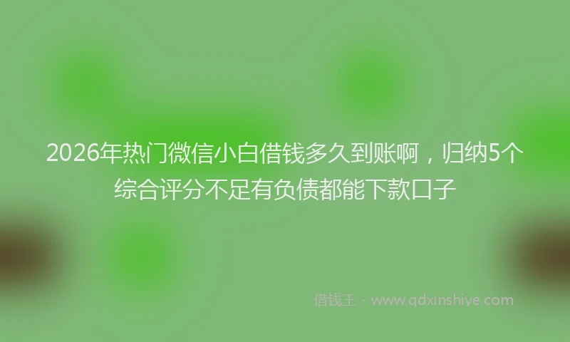 2026年热门微信小白借钱多久到账啊，归纳5个综合评分不足有负债都能下款口子