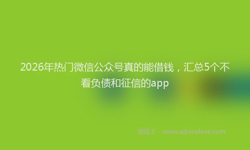2026年热门微信公众号真的能借钱，汇总5个不看负债和征信的app