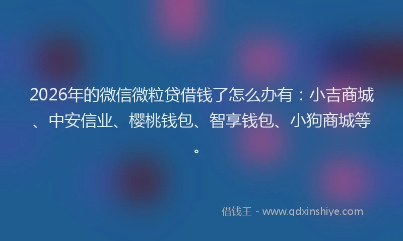 2026年的微信微粒贷借钱了怎么办有：小吉商城、中安信业、樱桃钱包、智享钱包、小狗商城等。