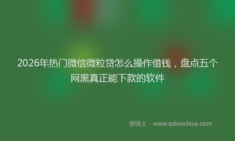2026年热门微信微粒贷怎么操作借钱，盘点五个网黑真正能下款的软件