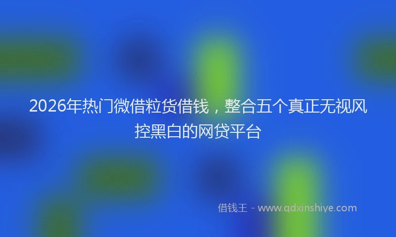 2026年热门微借粒货借钱，整合五个真正无视风控黑白的网贷平台