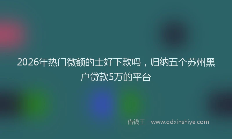 2026年热门微额的士好下款吗，归纳五个苏州黑户贷款5万的平台