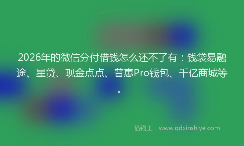 2026年的微信分付借钱怎么还不了有：钱袋易融途、星贷、现金点点、普惠Pro钱包、千亿商城等。