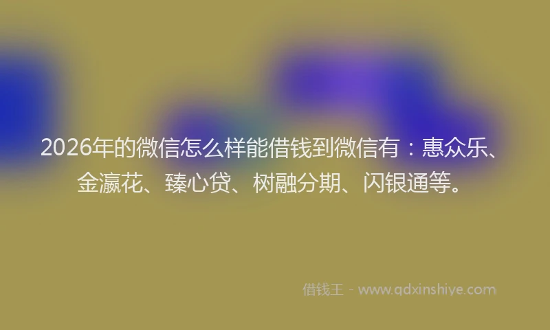 2026年的微信怎么样能借钱到微信有:惠众乐、金瀛花、臻心贷、树融分期、闪银通等。
