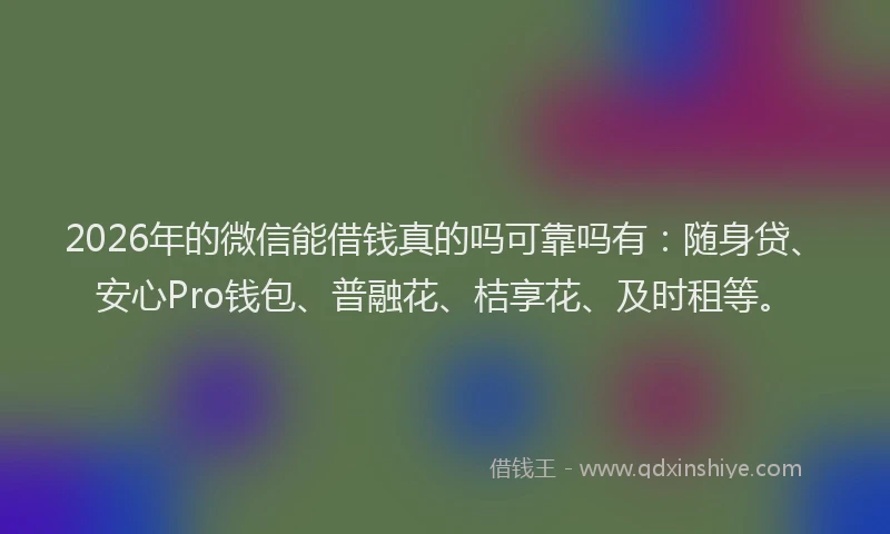 2026年的微信能借钱真的吗可靠吗有：随身贷、安心Pro钱包、普融花、桔享花、及时租等。