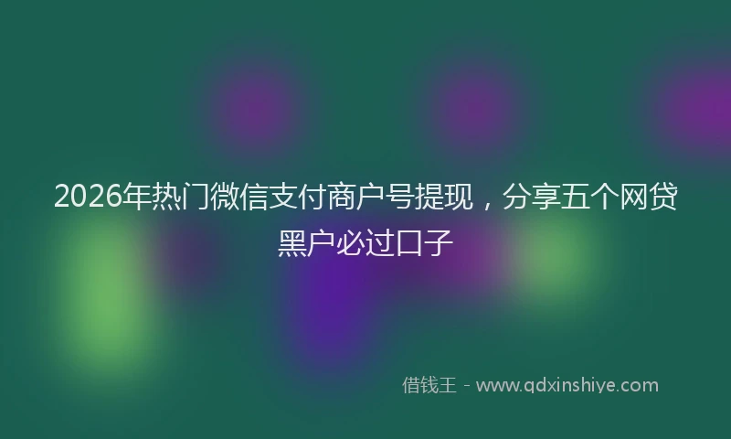 2026年热门微信支付商户号提现，分享五个网贷黑户必过口子