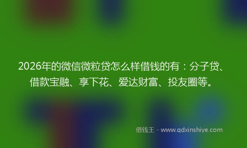 2026年的微信微粒贷怎么样借钱的有：分子贷、借款宝融、享下花、爱达财富、投友圈等。