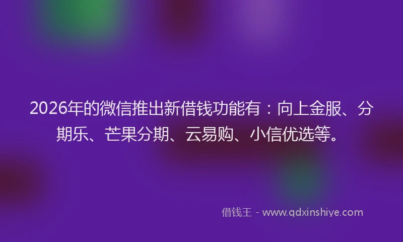 2026年的微信推出新借钱功能有：向上金服、分期乐、芒果分期、云易购、小信优选等。