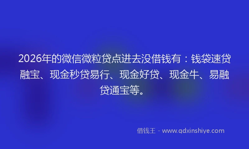 2026年的微信微粒贷点进去没借钱有：钱袋速贷融宝、现金秒贷易行、现金好贷、现金牛、易融贷通宝等。