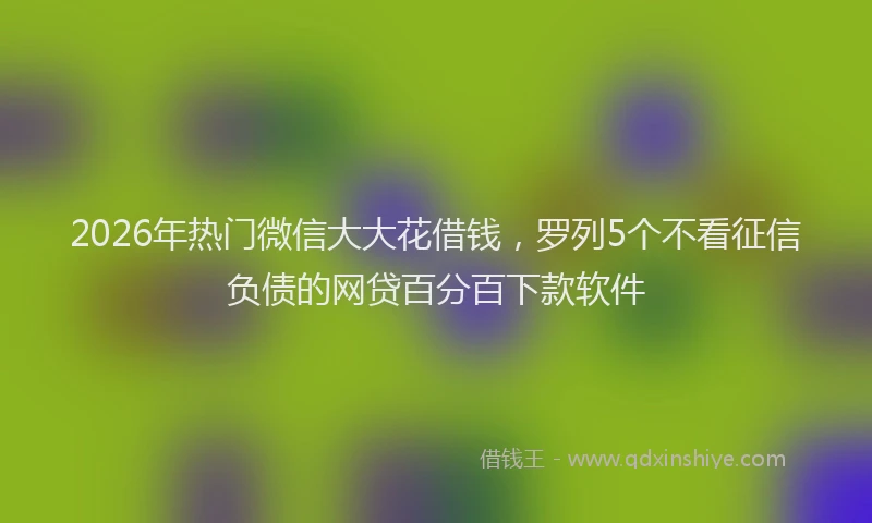 2026年热门微信大大花借钱，罗列5个不看征信负债的网贷百分百下款软件