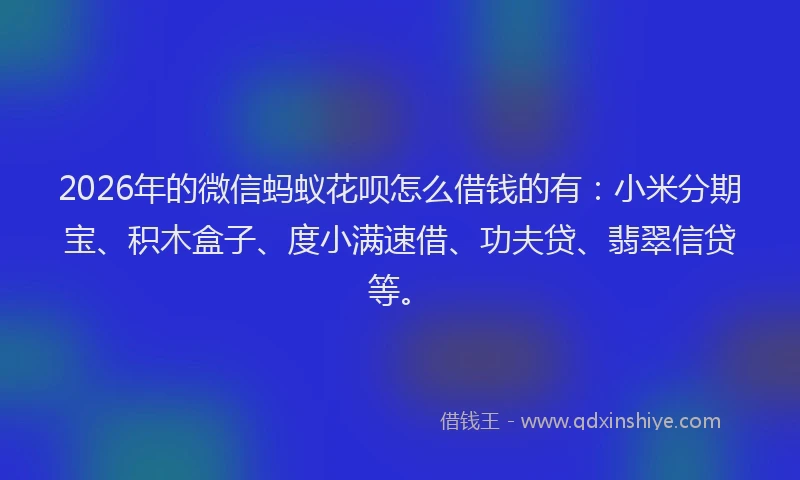 2026年的微信蚂蚁花呗怎么借钱的有：小米分期宝、积木盒子、度小满速借、功夫贷、翡翠信贷等。