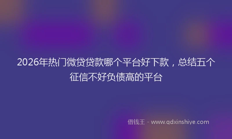 2026年热门微贷贷款哪个平台好下款,总结五个征信不好负债高的平台