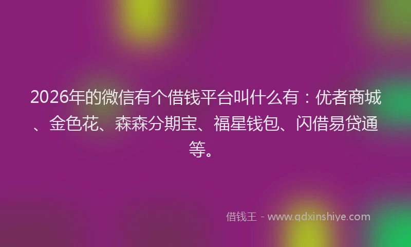 2026年的微信有个借钱平台叫什么有：优者商城、金色花、森森分期宝、福星钱包、闪借易贷通等。