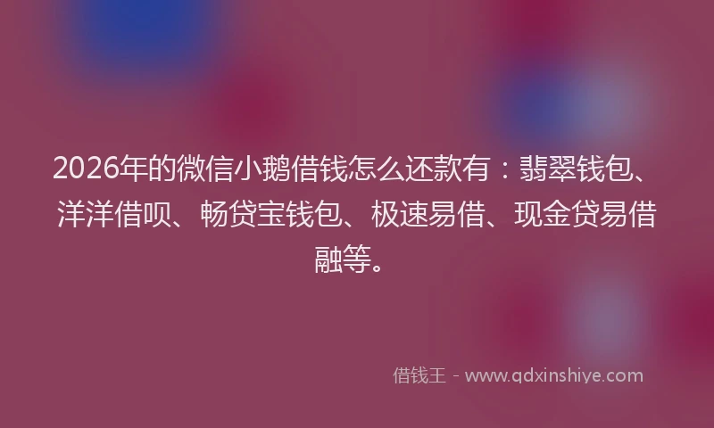 2026年的微信小鹅借钱怎么还款有：翡翠钱包、洋洋借呗、畅贷宝钱包、极速易借、现金贷易借融等。