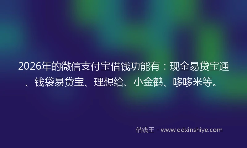 2026年的微信支付宝借钱功能有：现金易贷宝通、钱袋易贷宝、理想给、小金鹤、哆哆米等。