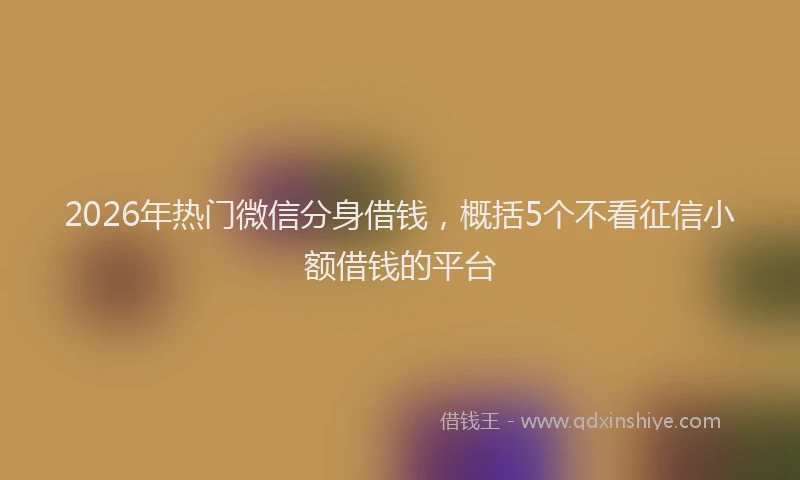 2026年热门微信分身借钱，概括5个不看征信小额借钱的平台