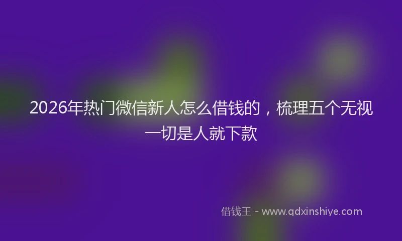 2026年热门微信新人怎么借钱的，梳理五个无视一切是人就下款