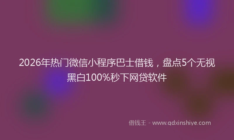 2026年热门微信小程序巴士借钱，盘点5个无视黑白100%秒下网贷软件