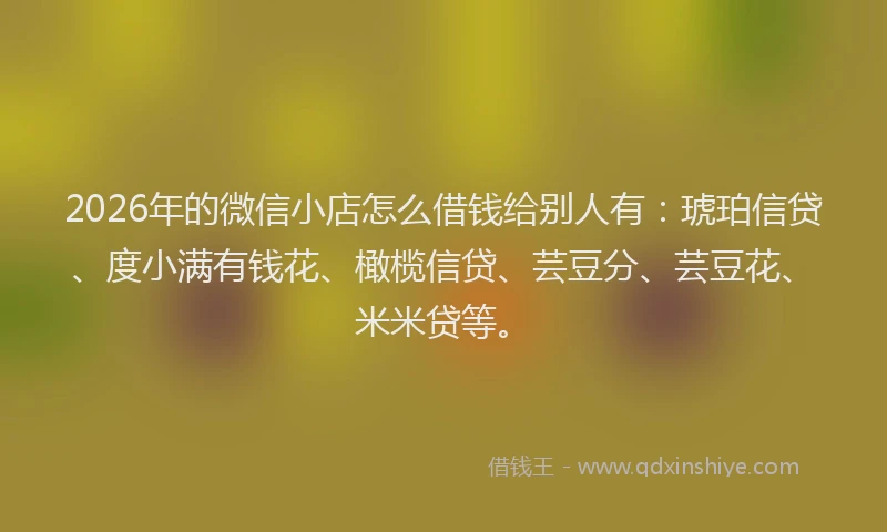 2026年的微信小店怎么借钱给别人有：琥珀信贷、度小满有钱花、橄榄信贷、芸豆分、芸豆花、米米贷等。
