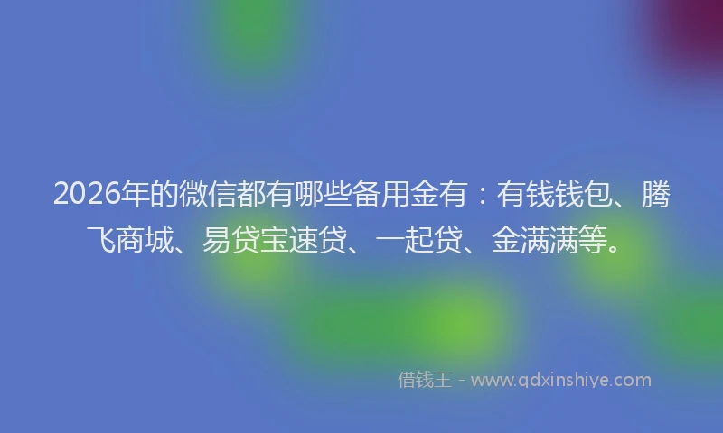 2026年的微信都有哪些备用金有：有钱钱包、腾飞商城、易贷宝速贷、一起贷、金满满等。