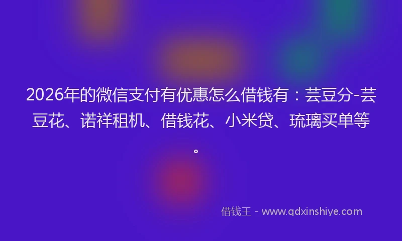 2026年的微信支付有优惠怎么借钱有:芸豆分-芸豆花、诺祥租机、借钱花、小米贷、琉璃买单等。