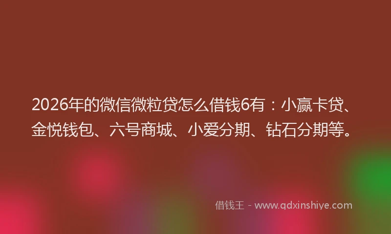 2026年的微信微粒贷怎么借钱6有：小赢卡贷、金悦钱包、六号商城、小爱分期、钻石分期等。