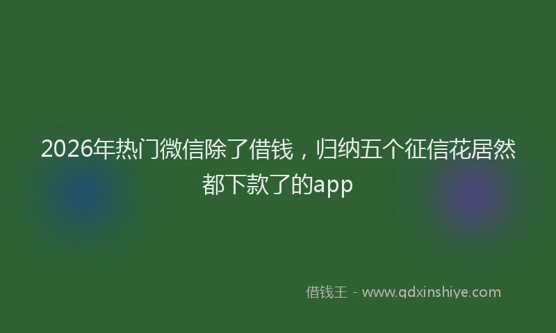 2026年热门微信除了借钱，归纳五个征信花居然都下款了的app