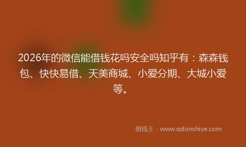 2026年的微信能借钱花吗安全吗知乎有：森森钱包、快快易借、天美商城、小爱分期、大城小爱等。