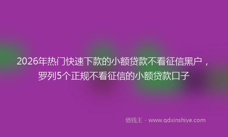 2026年热门快速下款的小额贷款不看征信黑户,罗列5个正规不看征信的小额贷款口子