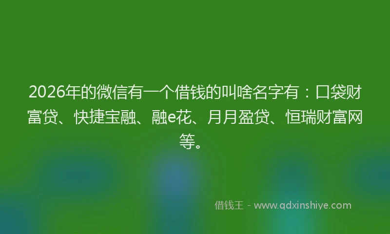 2026年的微信有一个借钱的叫啥名字有:口袋财富贷、快捷宝融、融e花、月月盈贷、恒瑞财富网等。