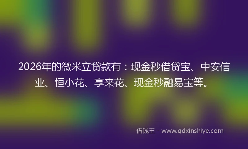 2026年的微米立贷款有:现金秒借贷宝、中安信业、恒小花、享来花、现金秒融易宝等。