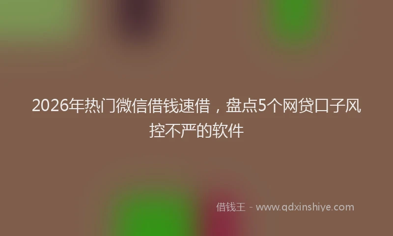 2026年热门微信借钱速借，盘点5个网贷口子风控不严的软件