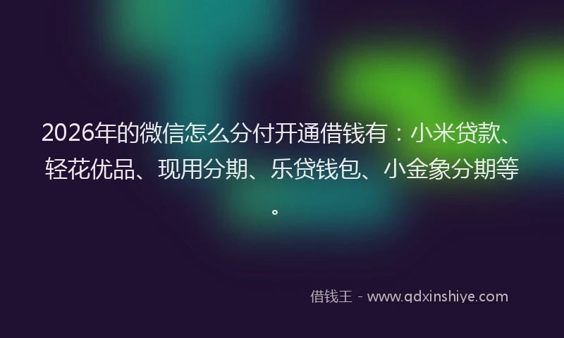 2026年的微信怎么分付开通借钱有:小米贷款、轻花优品、现用分期、乐贷钱包、小金象分期等。