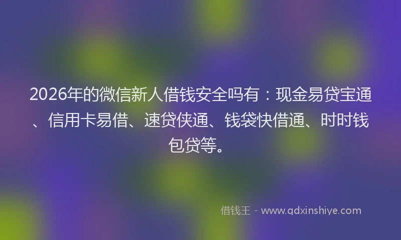 2026年的微信新人借钱安全吗有：现金易贷宝通、信用卡易借、速贷侠通、钱袋快借通、时时钱包贷等。