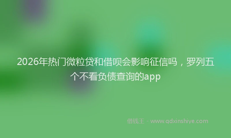 2026年热门微粒贷和借呗会影响征信吗，罗列五个不看负债查询的app