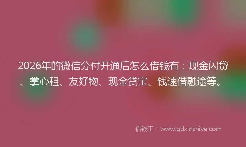 2026年的微信分付开通后怎么借钱有：现金闪贷、掌心租、友好物、现金贷宝、钱速借融途等。